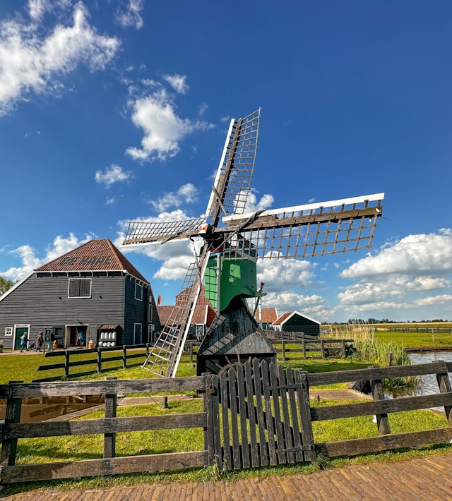 Afbeelding van Bij Snoek